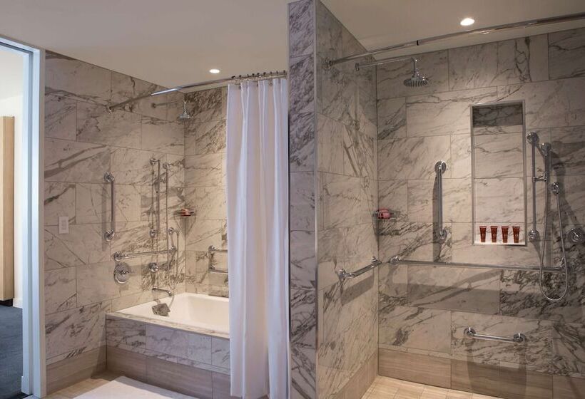 장애인을 위한 스위트, Conrad Washington, Dc