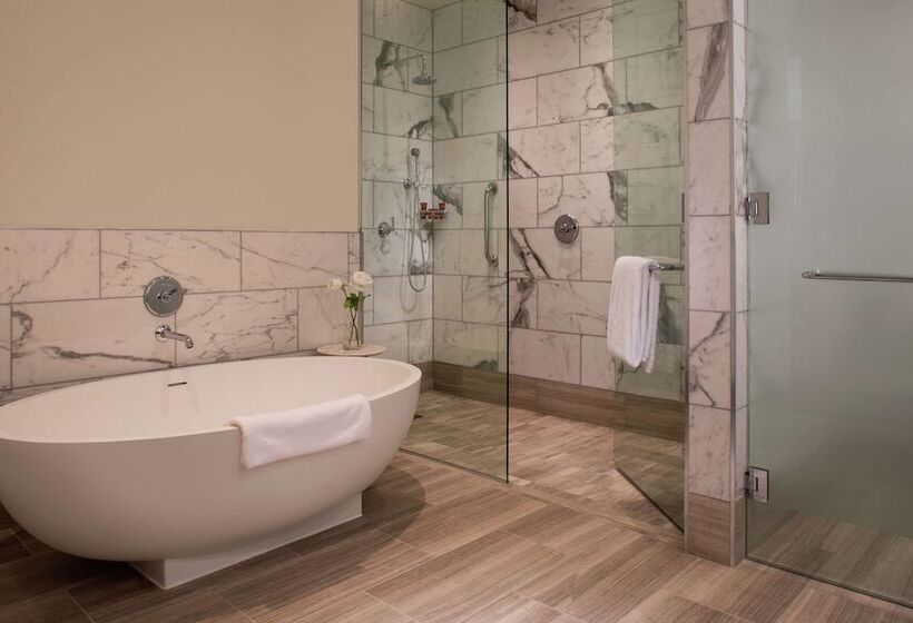 스위트, Conrad Washington, Dc