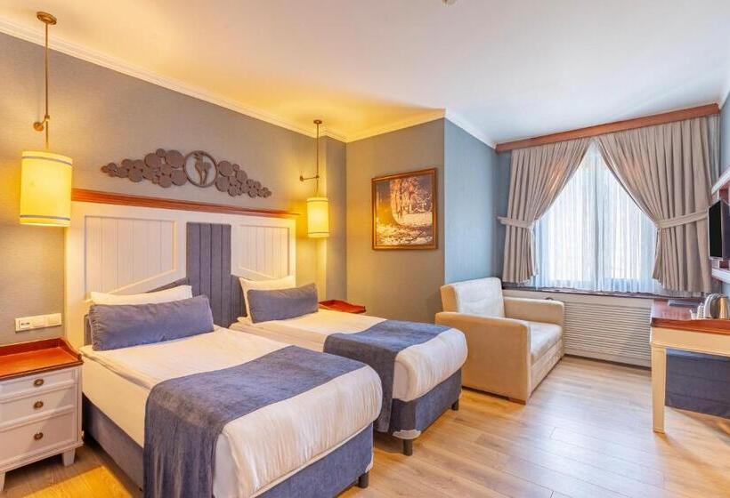 Standard Room, Mirada Del Lago