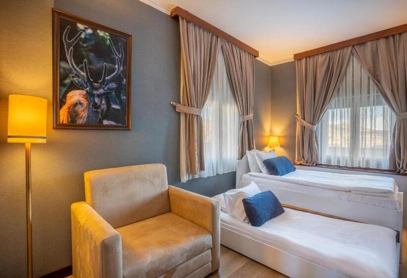 Comfort Room, Mirada Del Lago