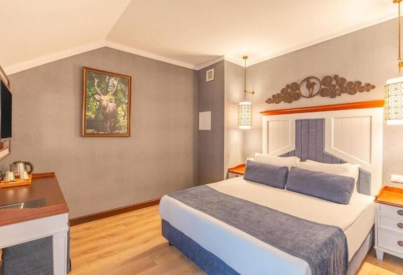 Comfort Room, Mirada Del Lago