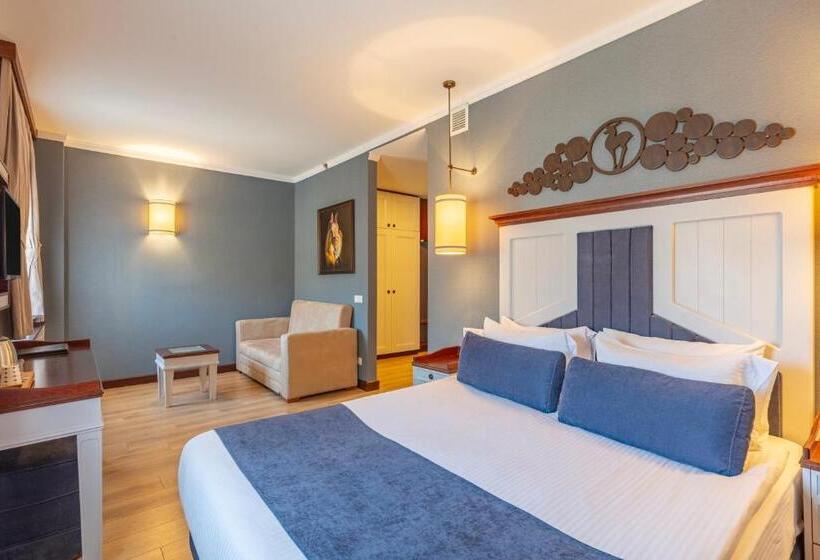 Standard Room, Mirada Del Lago