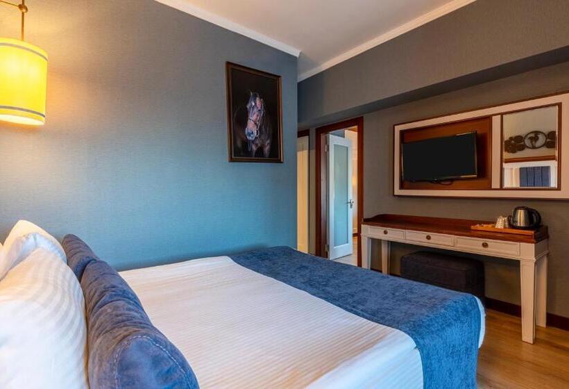 Comfort Room, Mirada Del Lago