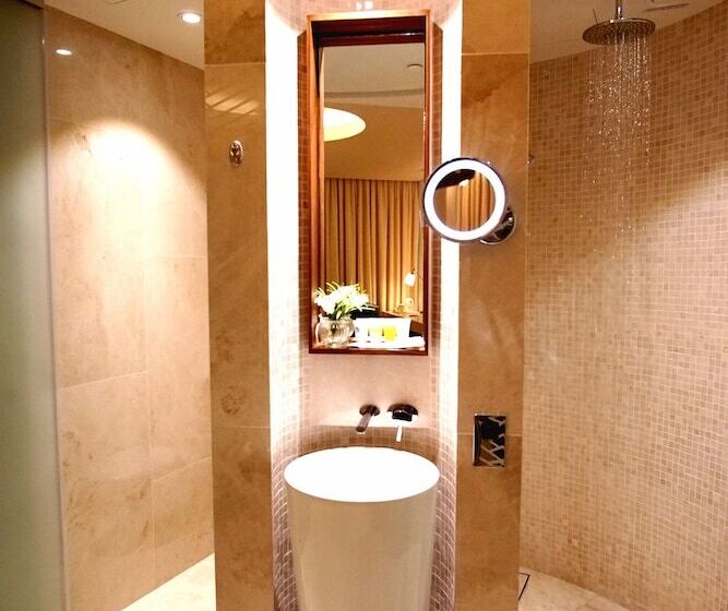 اتاق استاندارد پلاس, Aerotel Muscat  Airport Transit