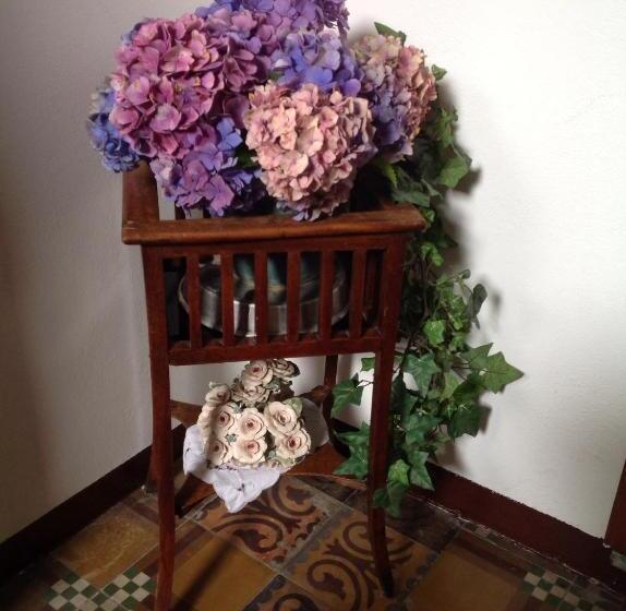 جناح, Bernina Express Rooms