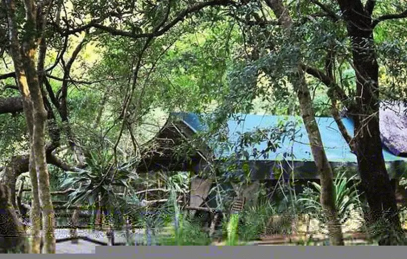 چادر با خدمات رفاهی استاندارد, Phophonyane Falls Ecolodge