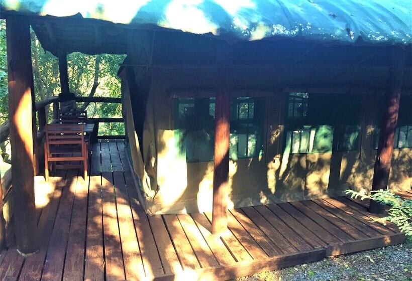 چادر با خدمات رفاهی لوکس, Phophonyane Falls Ecolodge