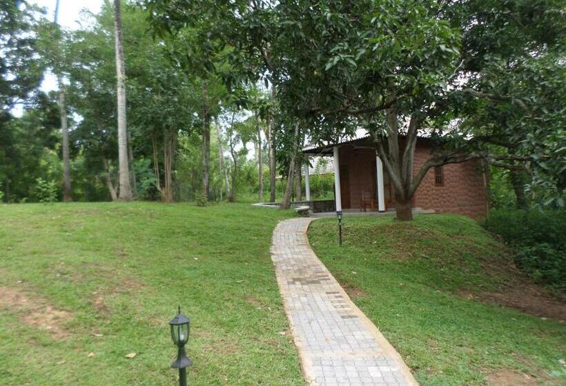 豪华房间, Safari Queens Resort