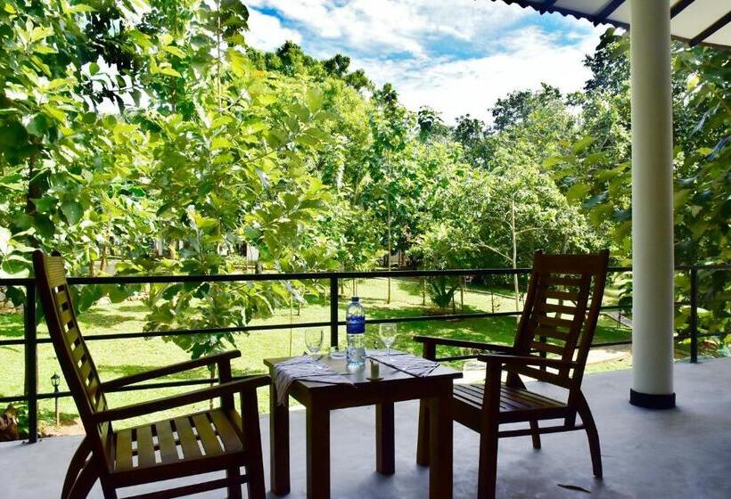 家庭套房, Safari Queens Resort