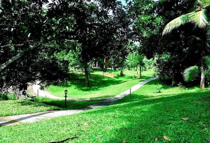 家庭套房, Safari Queens Resort