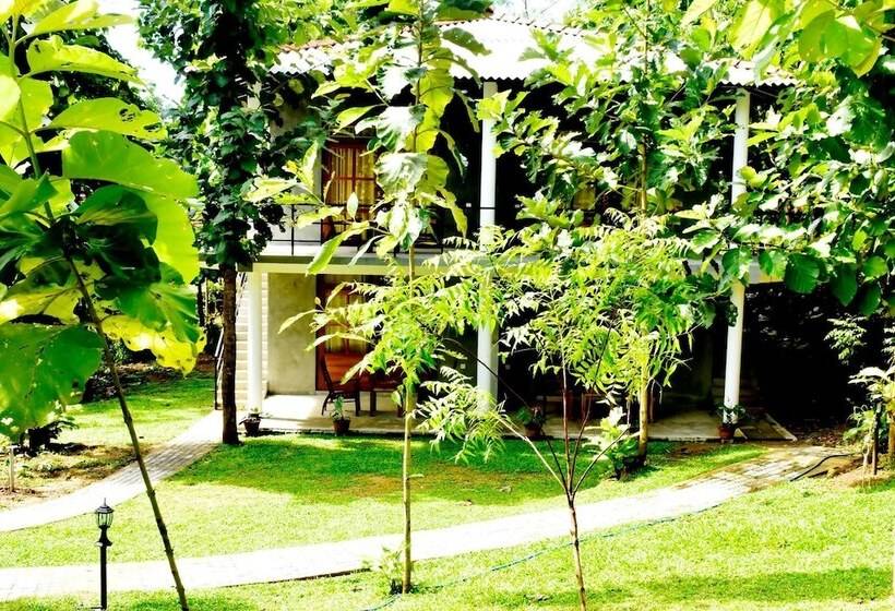 家庭套房, Safari Queens Resort