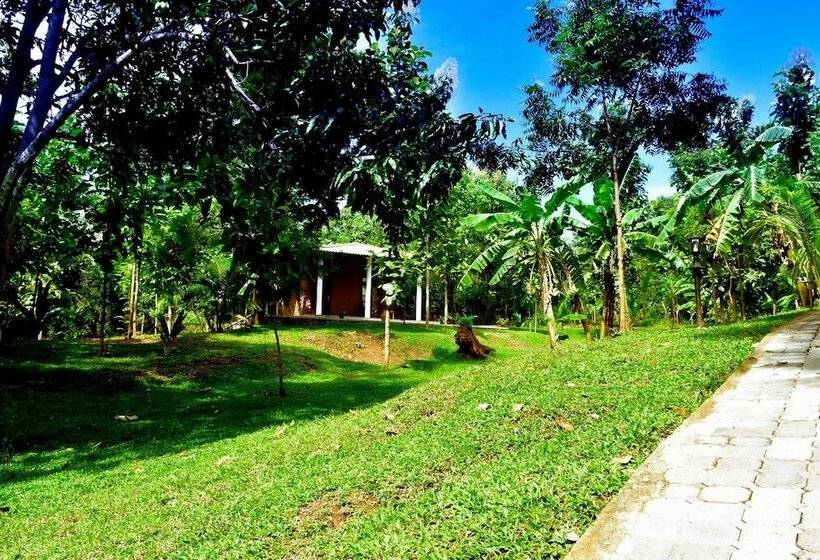 家庭套房, Safari Queens Resort