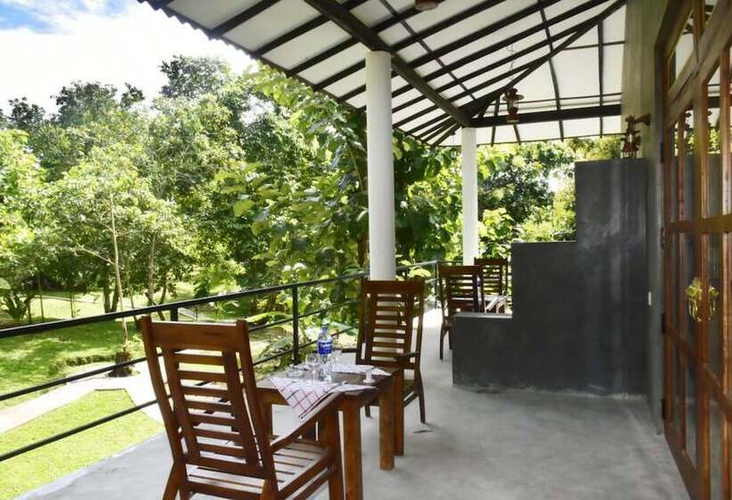 家庭套房, Safari Queens Resort