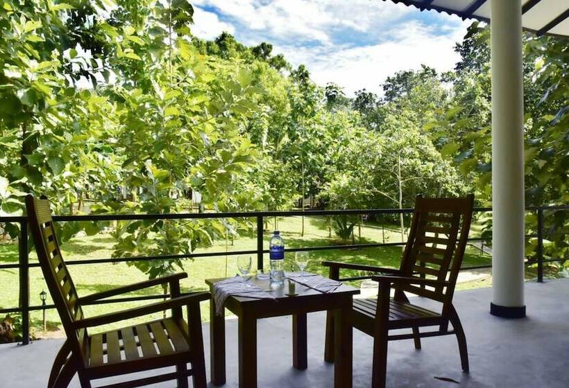 家庭套房, Safari Queens Resort