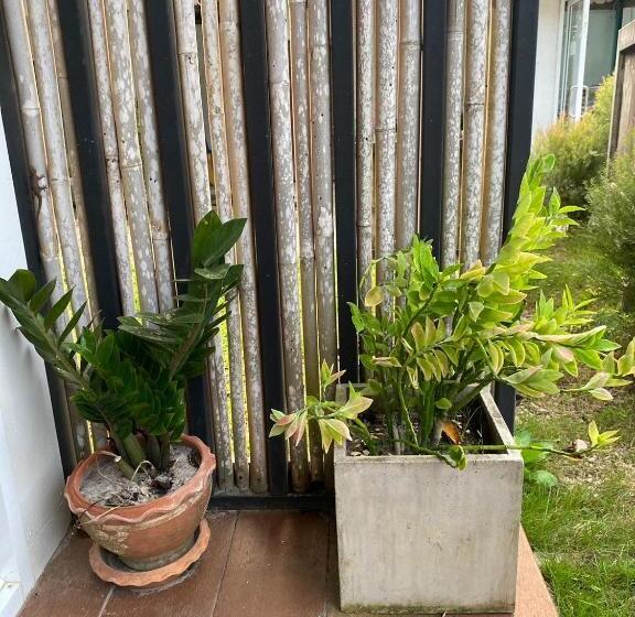 Quarto superior, Smile Resort Koh Mook