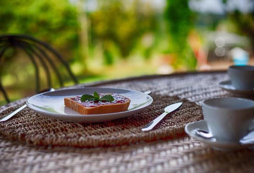 דירת שני חדרים, Podere Sant'antonio