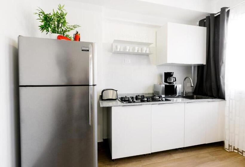 豪华套房, Ducassi Suites Rooftop Pool Beach Club & Spa