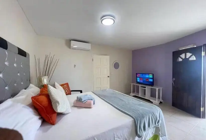 اتاق استاندارد با تخت بزرگ, Skyline Suites Villa And Spa