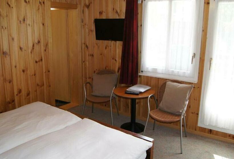 Номер Стандарт, Alpina