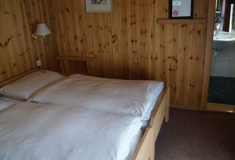 Номер Стандарт, Alpina