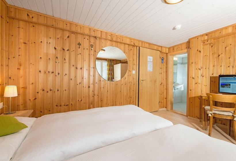 Номер Стандарт, Alpina