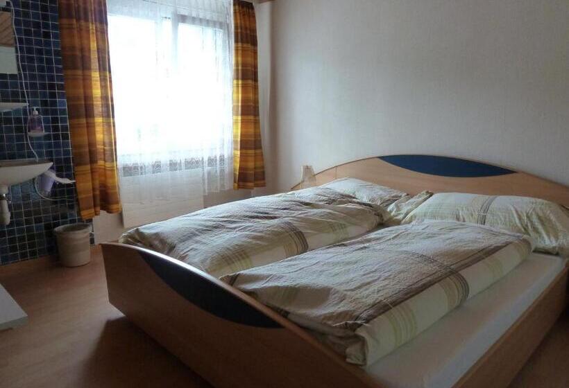 اتاق استاندارد با سرویس بهداشتی مشترک, Backpackers Gasthaus Post
