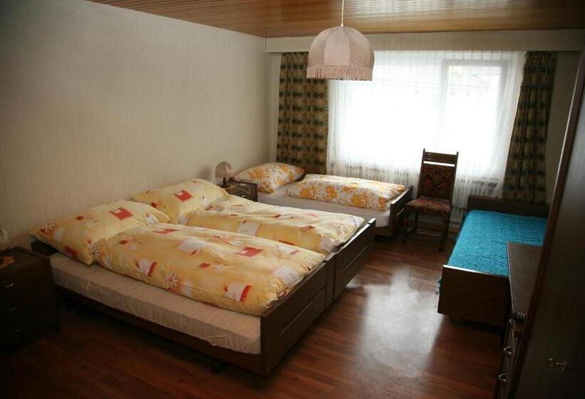 اتاق خانوادگی با سرویس بهداشتی مشترک, Backpackers Gasthaus Post