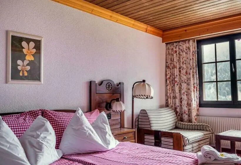 اتاق استاندارد با چشم‌انداز کوهستان, Gletscherblick Grindelwald