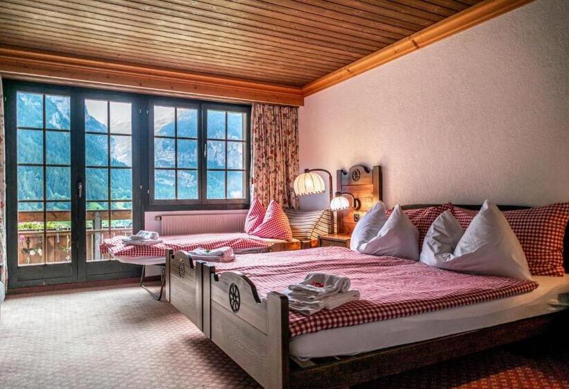 Camera Standard Vista Montagna, Gletscherblick Grindelwald