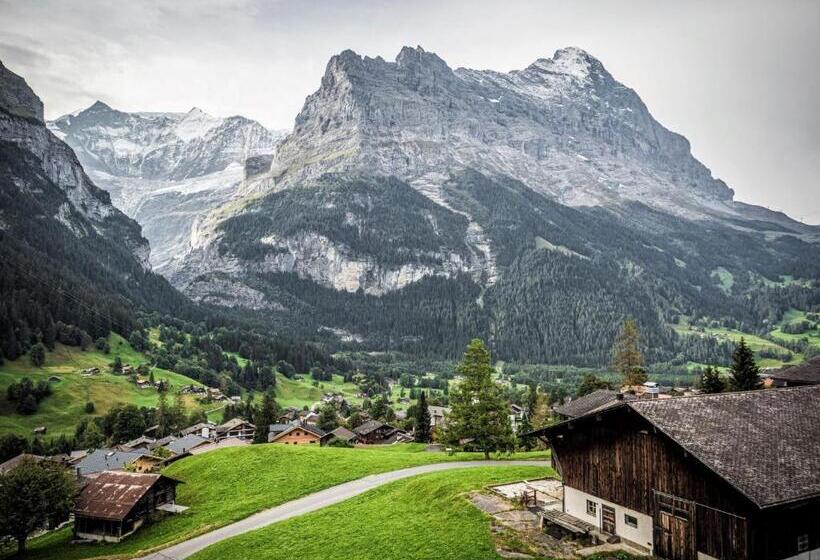 Camera Standard Vista Montagna, Gletscherblick Grindelwald