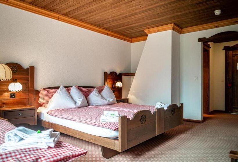 Camera Standard Vista Montagna, Gletscherblick Grindelwald