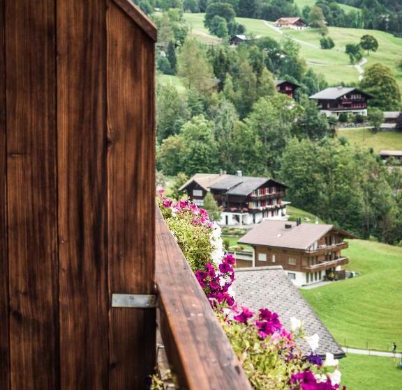 Camera Standard Vista Montagna, Gletscherblick Grindelwald