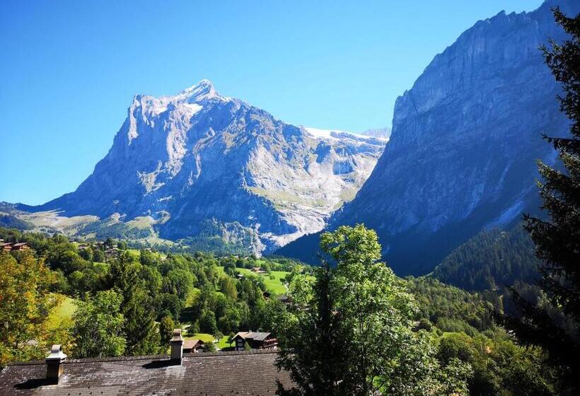 Camera Standard, Gletscherblick Grindelwald