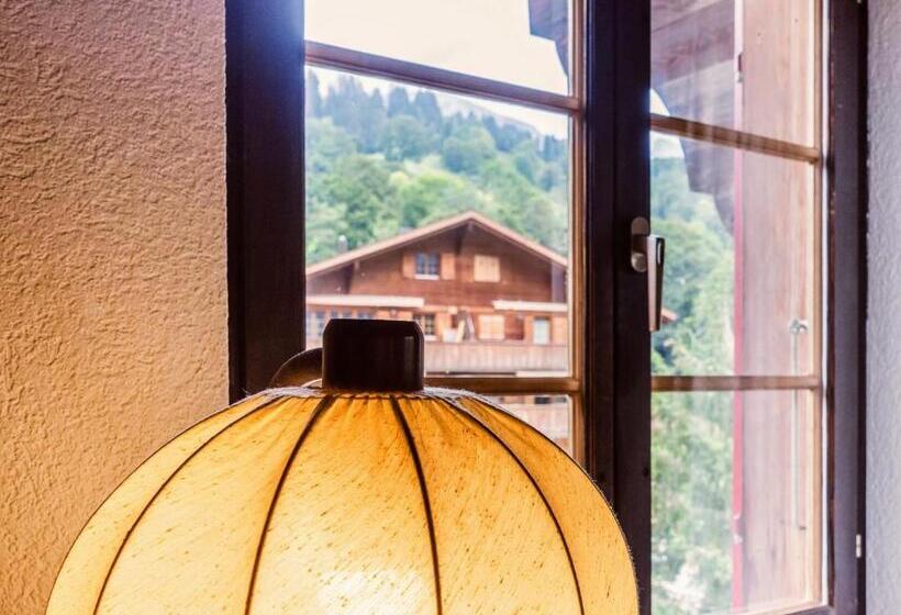 Camera Standard, Gletscherblick Grindelwald