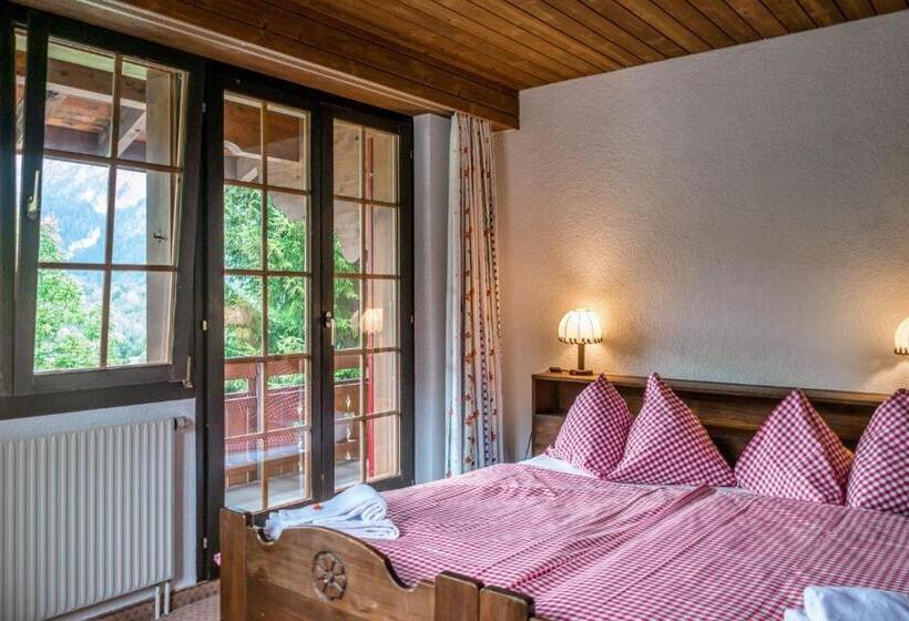 Camera Standard, Gletscherblick Grindelwald