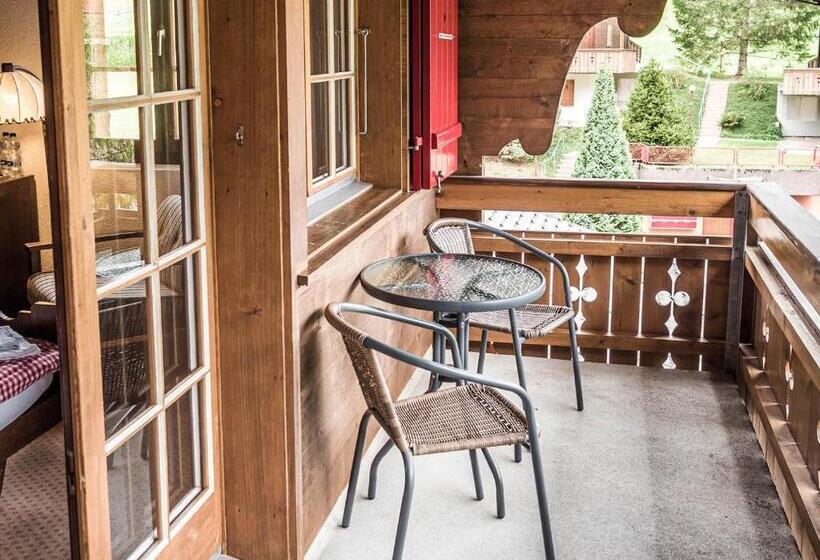 Camera Standard, Gletscherblick Grindelwald