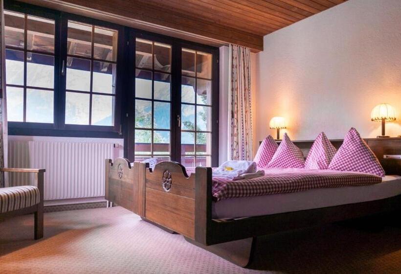 Camera Standard, Gletscherblick Grindelwald