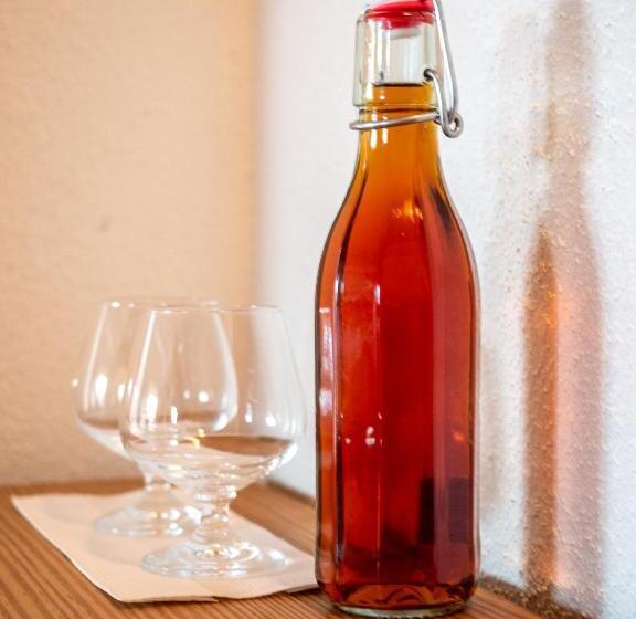 Suite Junior, Gletscherblick Grindelwald