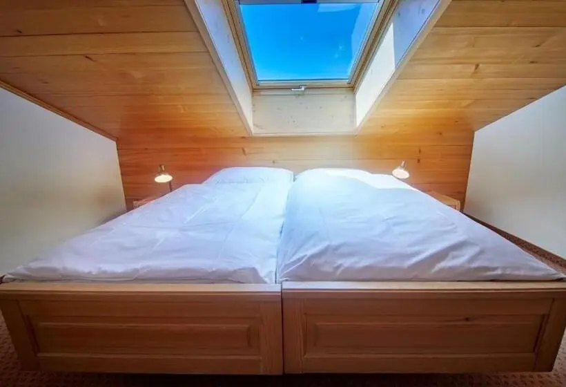 آپارتمان دوبلکس 1 خوابه, Gletscherblick Grindelwald