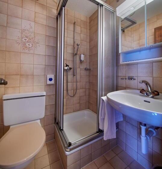 Camera Basic Singola, Gletscherblick Grindelwald