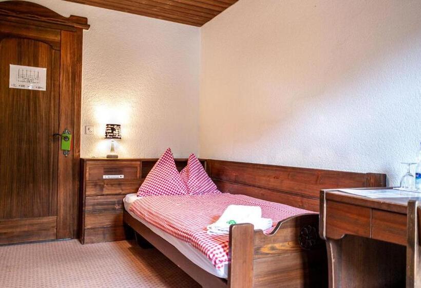 Camera Basic Singola, Gletscherblick Grindelwald