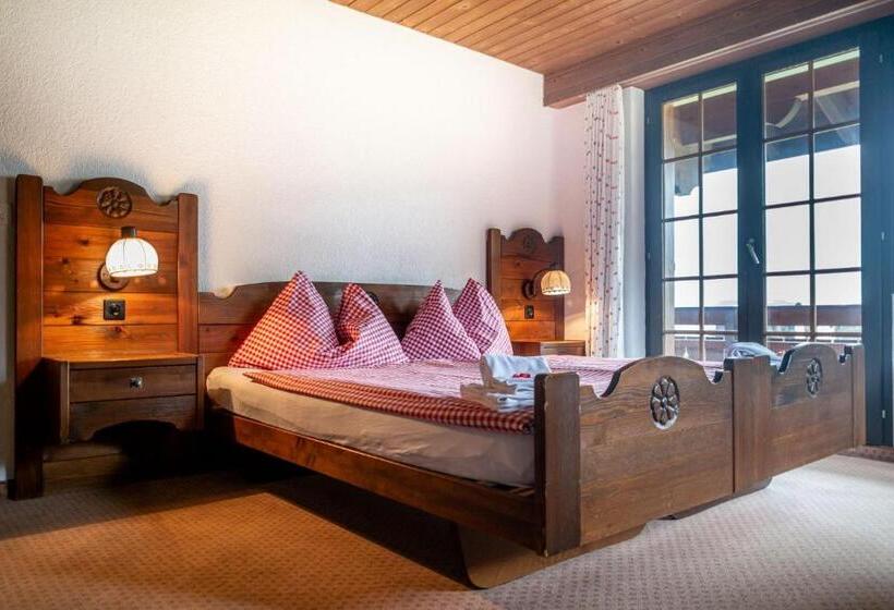 Camera Standard, Gletscherblick Grindelwald