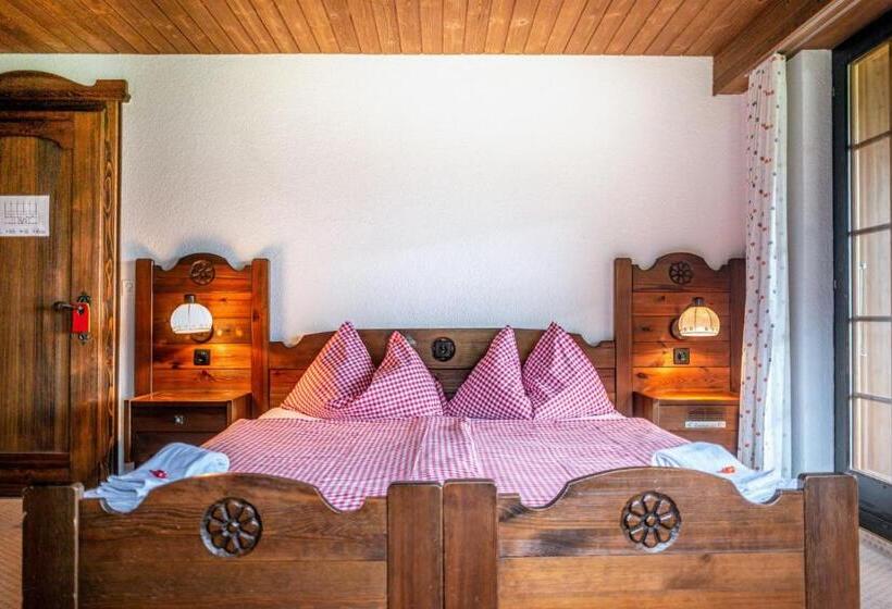 Camera Standard, Gletscherblick Grindelwald