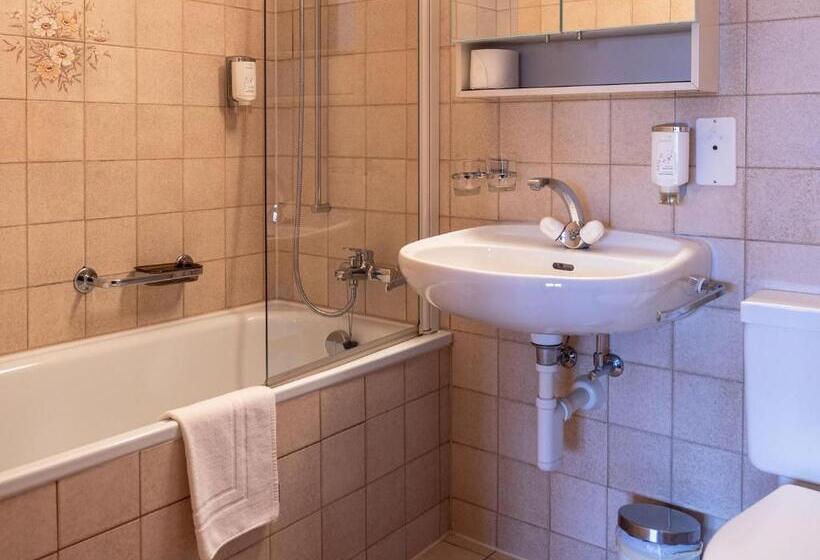 Camera Standard, Gletscherblick Grindelwald