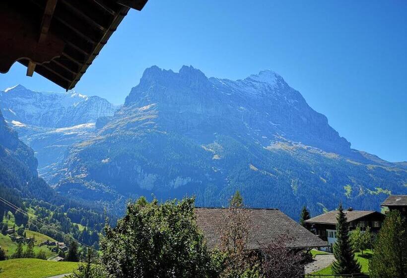 Camera Standard, Gletscherblick Grindelwald