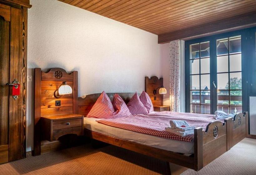 Camera Standard, Gletscherblick Grindelwald