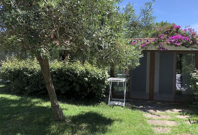 Апартаменты 1 Спальня Вид на Сад, Residence Sa Pintadera