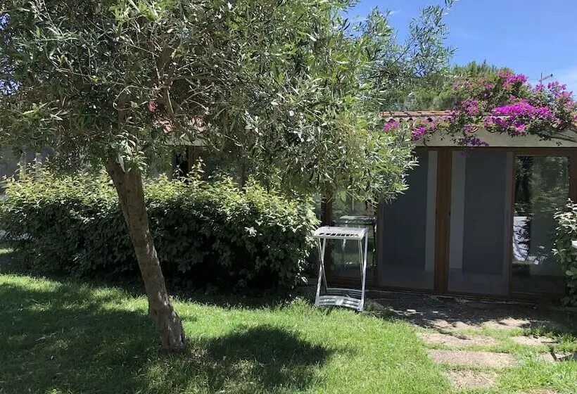 庭の見える１ベッドルームアパートメント, Residence Sa Pintadera