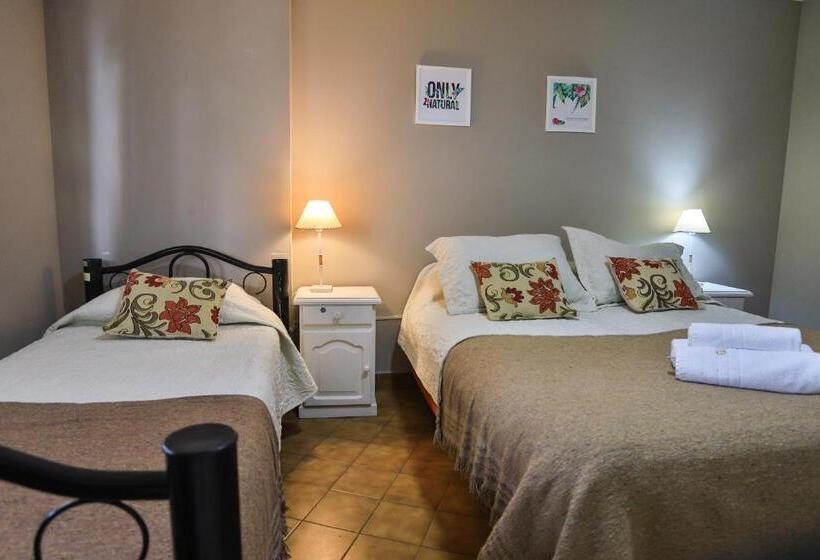 اتاق استاندارد سه نفره, Trip Bariloche Select