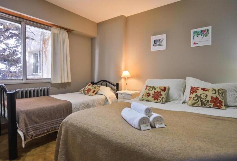 اتاق استاندارد چهار تخته, Trip Bariloche Select